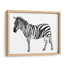Stare Cebra Ii - Jennifer Goldberger | Cuadro decorativo de Canvas Lab