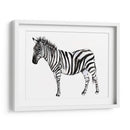 Stare Cebra Ii - Jennifer Goldberger | Cuadro decorativo de Canvas Lab