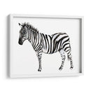 Stare Cebra Ii - Jennifer Goldberger | Cuadro decorativo de Canvas Lab