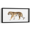 Acuarela Tigre Iii - Victoria Borges | Cuadro decorativo de Canvas Lab