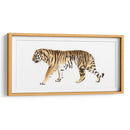 Acuarela Tigre Iii - Victoria Borges | Cuadro decorativo de Canvas Lab