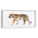 Acuarela Tigre Iii - Victoria Borges | Cuadro decorativo de Canvas Lab