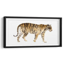 Acuarela Tigre Iv - Victoria Borges | Cuadro decorativo de Canvas Lab