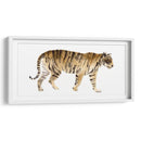 Acuarela Tigre Iv - Victoria Borges | Cuadro decorativo de Canvas Lab