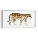 Acuarela Tigre Iv - Victoria Borges | Cuadro decorativo de Canvas Lab