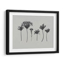 Memoria De Flores Silvestre I - Jennifer Goldberger | Cuadro decorativo de Canvas Lab