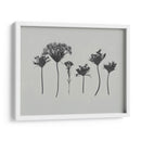 Memoria De Flores Silvestre I - Jennifer Goldberger | Cuadro decorativo de Canvas Lab