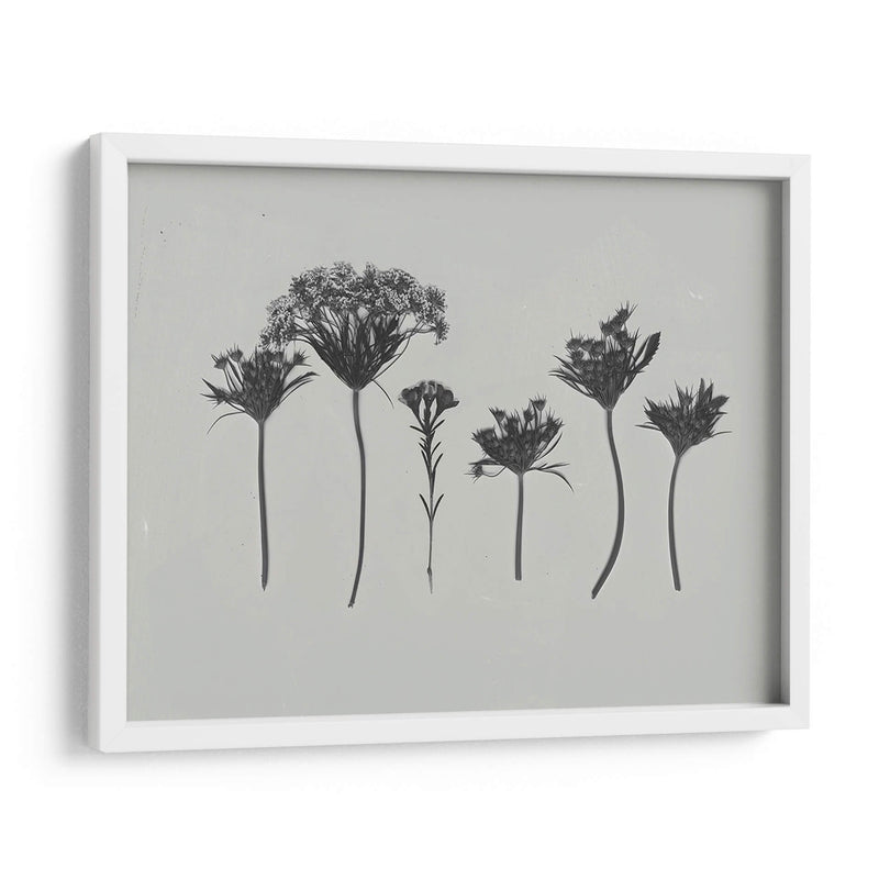 Memoria De Flores Silvestre I - Jennifer Goldberger | Cuadro decorativo de Canvas Lab