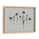 Memoria De Flores Silvestres Ii - Jennifer Goldberger | Cuadro decorativo de Canvas Lab