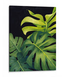 Night Monsteras I - Grace Popp | Cuadro decorativo de Canvas Lab