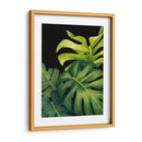 Night Monsteras I - Grace Popp | Cuadro decorativo de Canvas Lab