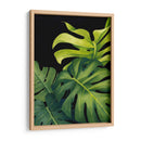 Night Monsteras I - Grace Popp | Cuadro decorativo de Canvas Lab