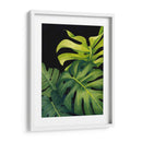 Night Monsteras I - Grace Popp | Cuadro decorativo de Canvas Lab