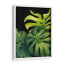 Night Monsteras I - Grace Popp | Cuadro decorativo de Canvas Lab