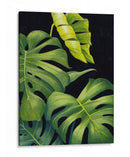 Night Monsteras Ii - Grace Popp | Cuadro decorativo de Canvas Lab