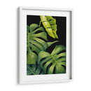 Night Monsteras Ii - Grace Popp | Cuadro decorativo de Canvas Lab