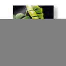 Night Monsteras Ii - Grace Popp | Cuadro decorativo de Canvas Lab