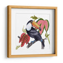 Toco Toucan I - Melissa Wang | Cuadro decorativo de Canvas Lab