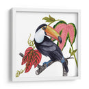 Toco Toucan I - Melissa Wang | Cuadro decorativo de Canvas Lab