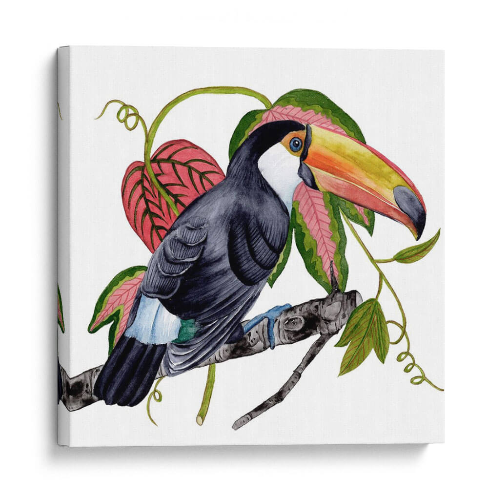 Toco Toucan Ii - Melissa Wang | Cuadro decorativo de Canvas Lab