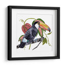 Toco Toucan Ii - Melissa Wang | Cuadro decorativo de Canvas Lab