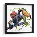 Toco Toucan Ii - Melissa Wang | Cuadro decorativo de Canvas Lab