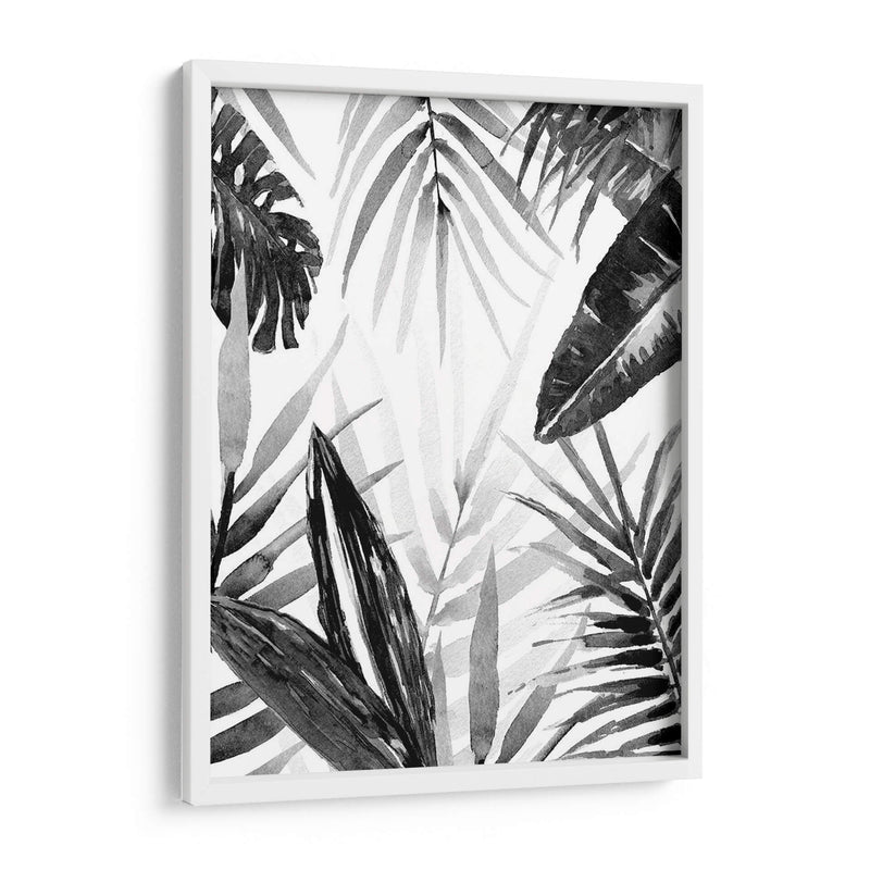 Jungle Walk I - Jacob Green | Cuadro decorativo de Canvas Lab