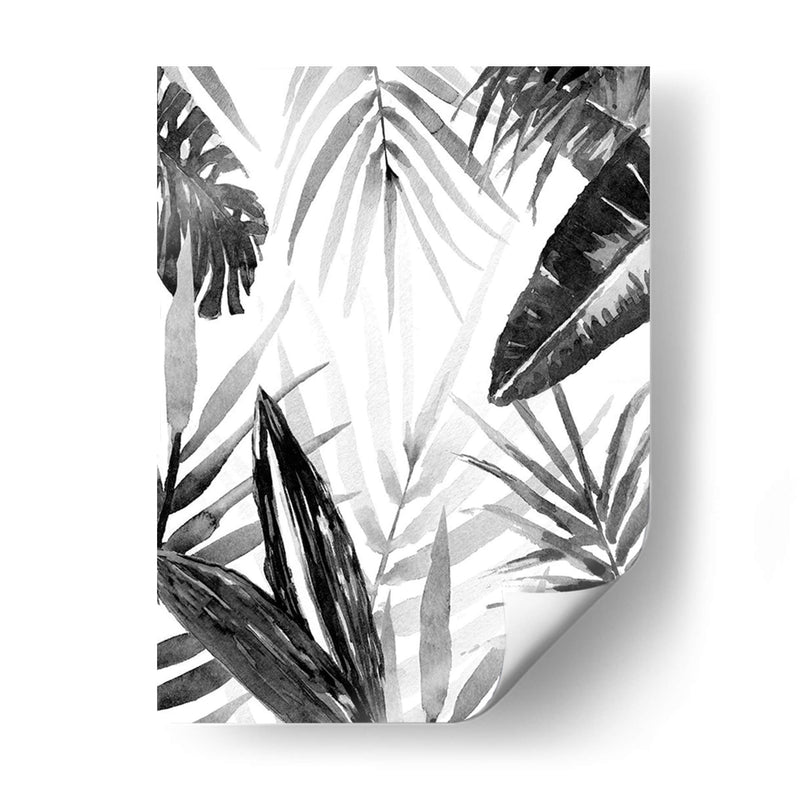 Jungle Walk I - Jacob Green | Cuadro decorativo de Canvas Lab