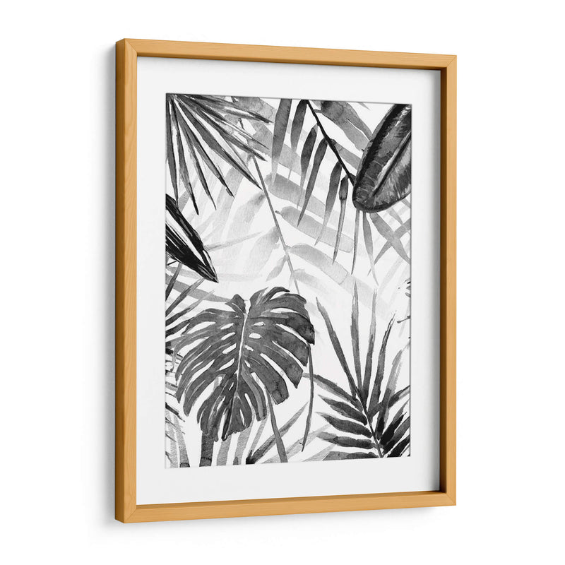 Jungle Walk Ii - Jacob Green | Cuadro decorativo de Canvas Lab