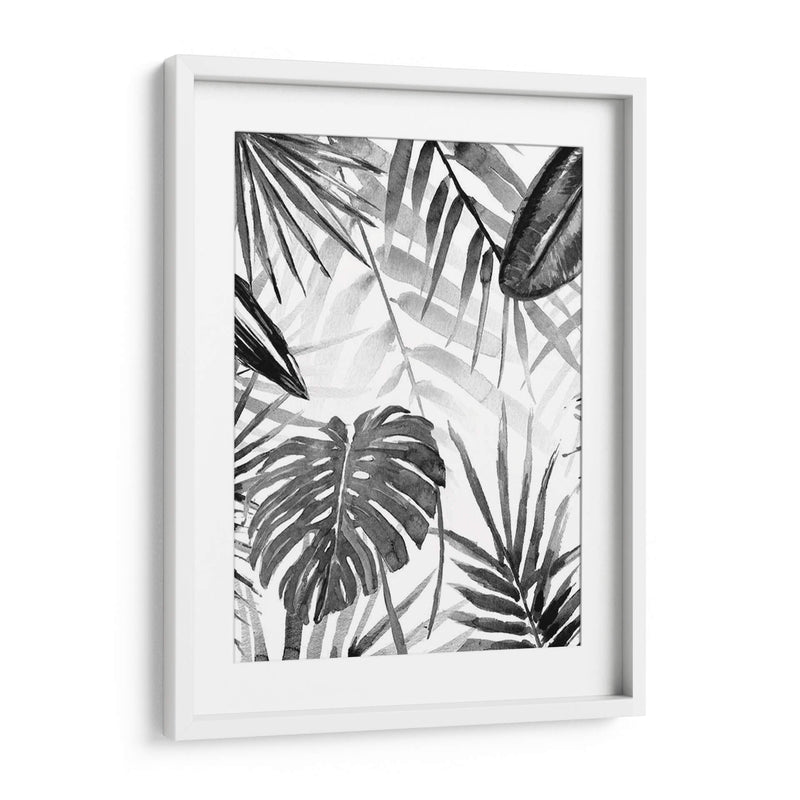 Jungle Walk Ii - Jacob Green | Cuadro decorativo de Canvas Lab