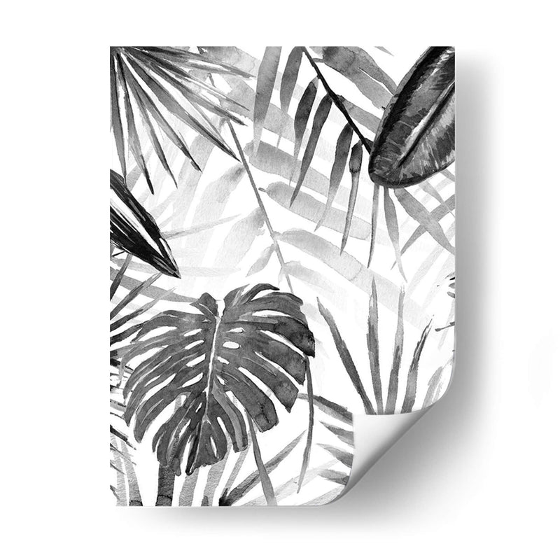 Jungle Walk Ii - Jacob Green | Cuadro decorativo de Canvas Lab