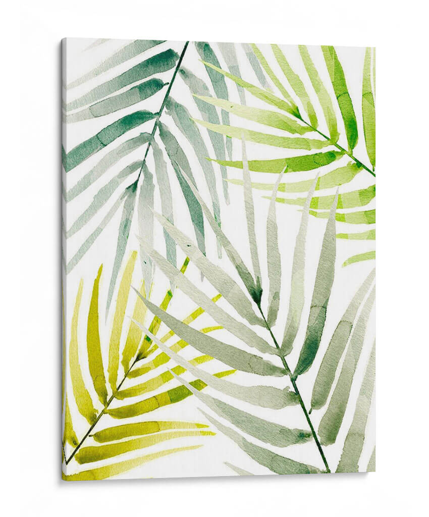 Sombrío Palm - Jacob Green | Cuadro decorativo de Canvas Lab