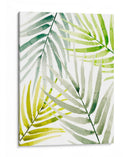 Sombrío Palm - Jacob Green | Cuadro decorativo de Canvas Lab