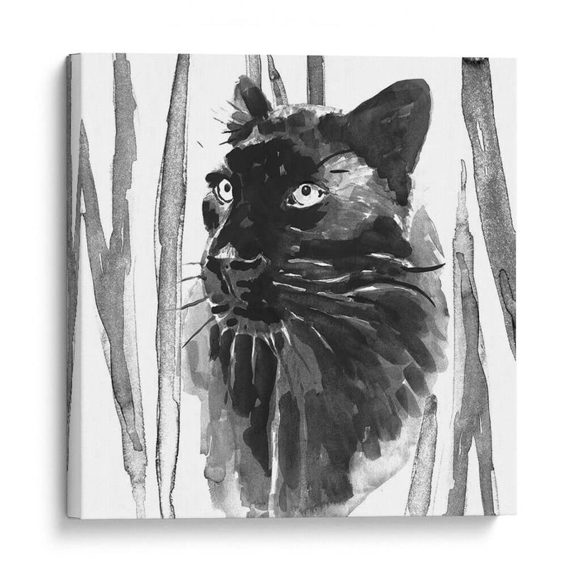 Sigue Siendo Gato Yo - Jacob Green | Cuadro decorativo de Canvas Lab