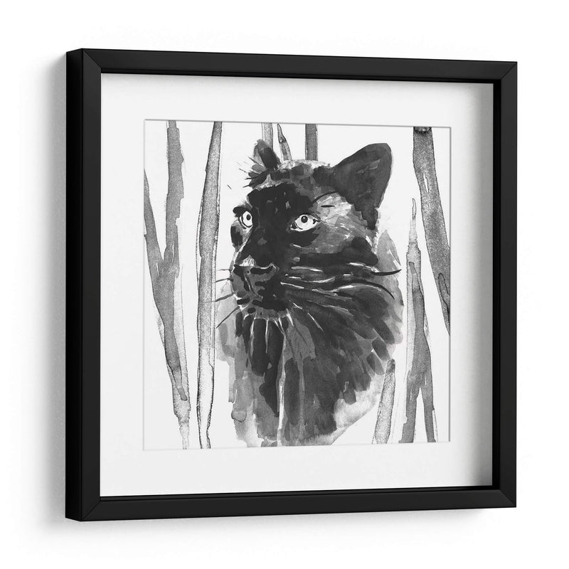 Sigue Siendo Gato Yo - Jacob Green | Cuadro decorativo de Canvas Lab