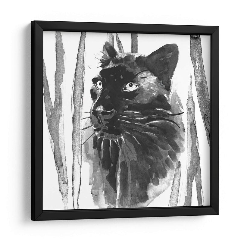 Sigue Siendo Gato Yo - Jacob Green | Cuadro decorativo de Canvas Lab