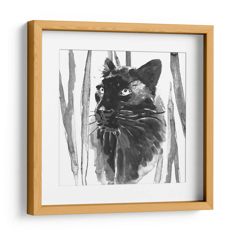 Sigue Siendo Gato Yo - Jacob Green | Cuadro decorativo de Canvas Lab