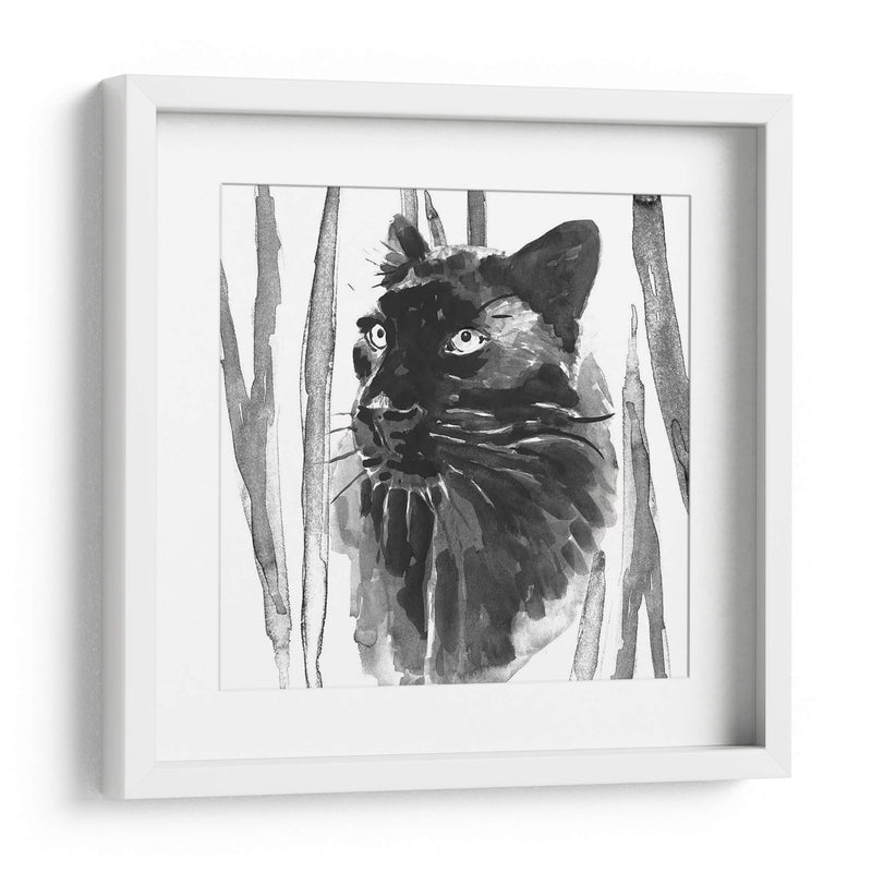 Sigue Siendo Gato Yo - Jacob Green | Cuadro decorativo de Canvas Lab