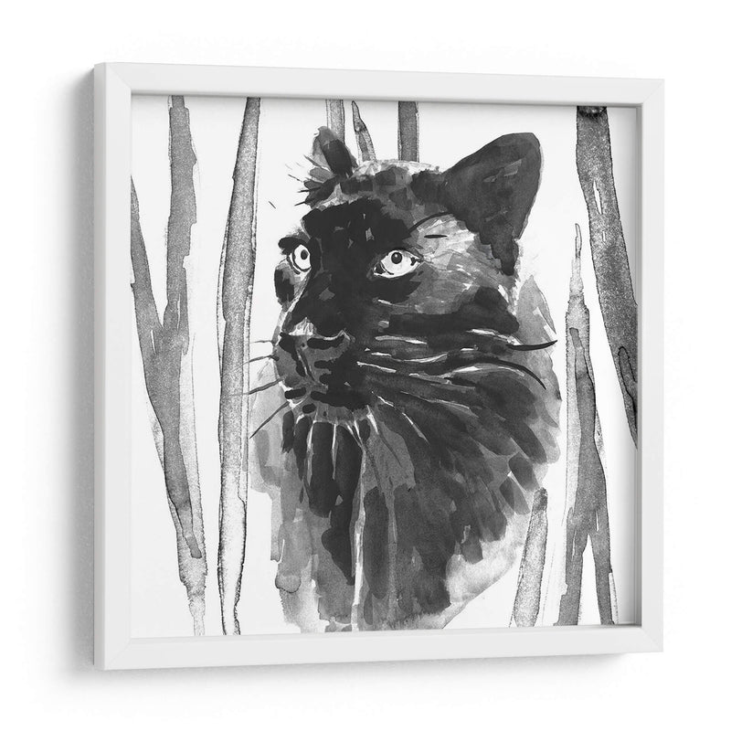 Sigue Siendo Gato Yo - Jacob Green | Cuadro decorativo de Canvas Lab