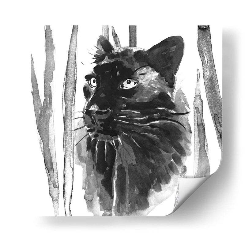 Sigue Siendo Gato Yo - Jacob Green | Cuadro decorativo de Canvas Lab