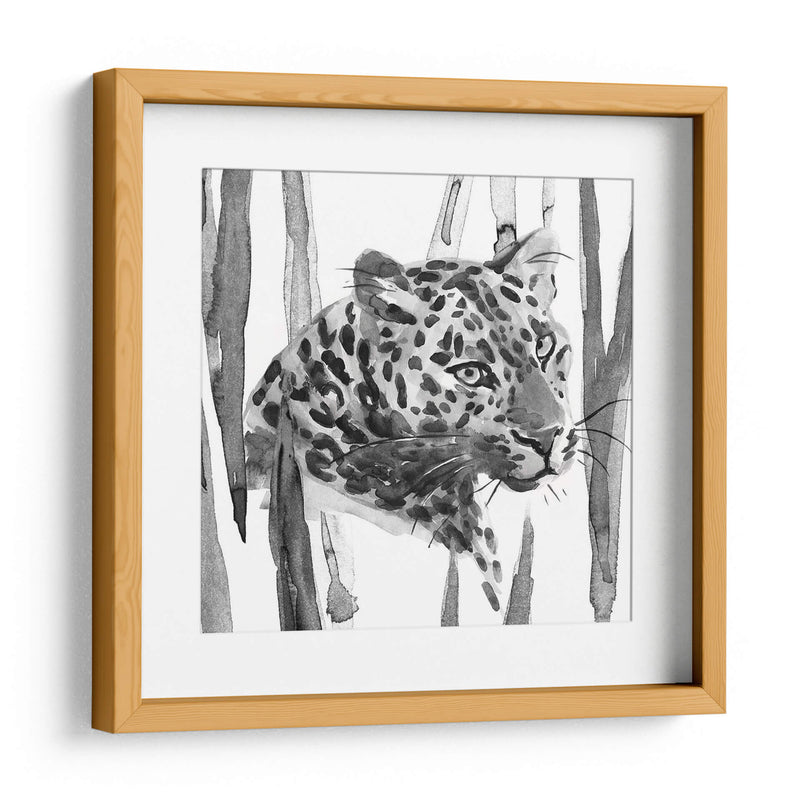 Sigue Siendo Gato Ii - Jacob Green | Cuadro decorativo de Canvas Lab