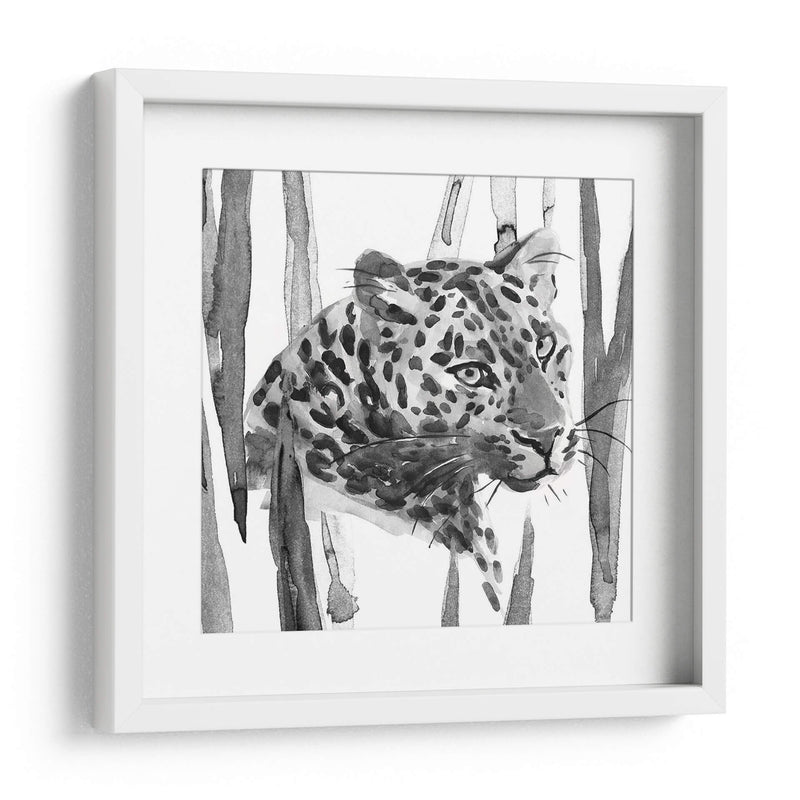 Sigue Siendo Gato Ii - Jacob Green | Cuadro decorativo de Canvas Lab