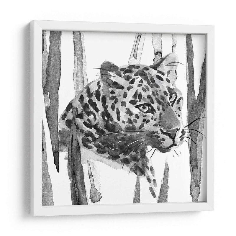 Sigue Siendo Gato Ii - Jacob Green | Cuadro decorativo de Canvas Lab