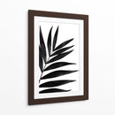 Palmas Negras I - Renee W. Stramel | Cuadro decorativo de Canvas Lab