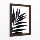 Palmas Negras I - Renee W. Stramel | Cuadro decorativo de Canvas Lab