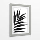 Palmas Negras I - Renee W. Stramel | Cuadro decorativo de Canvas Lab