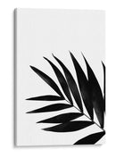 Palms Negros Ii - Renee W. Stramel | Cuadro decorativo de Canvas Lab