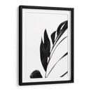 Palms Negros Iii - Renee W. Stramel | Cuadro decorativo de Canvas Lab