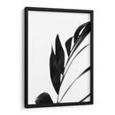 Palms Negros Iii - Renee W. Stramel | Cuadro decorativo de Canvas Lab