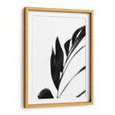 Palms Negros Iii - Renee W. Stramel | Cuadro decorativo de Canvas Lab